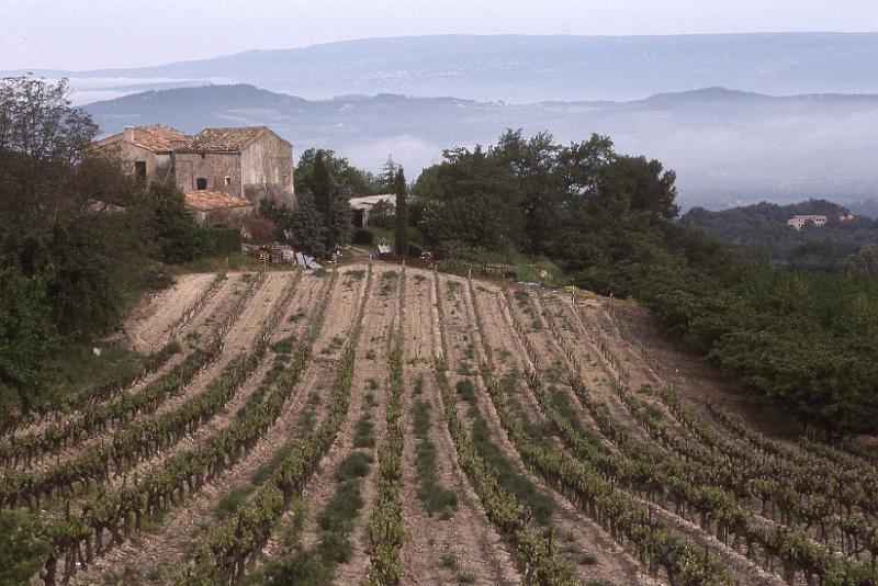 France 99 Bonnieux Vineyard Mist.jpg